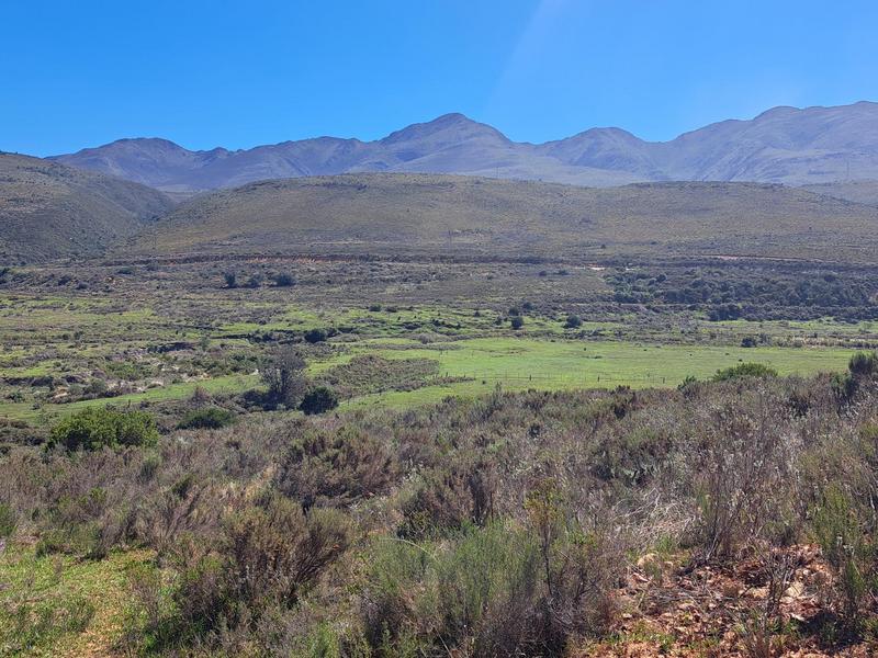 0 Bedroom Property for Sale in Kareedouw Eastern Cape